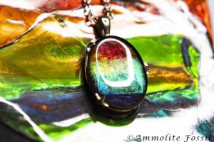 Ammolite Buying Tips - Ammolite Fossil