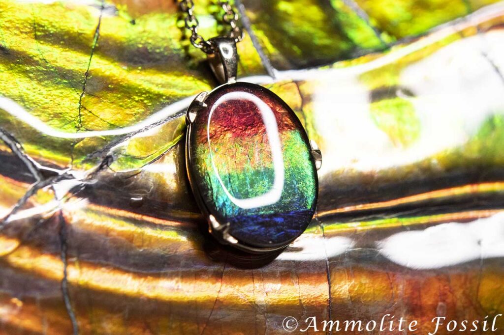 ammolite fossil gemstone bright iridescence with rare blue