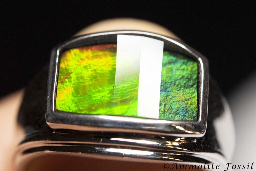 Korite silver ammolite A Grade ring color play chromatic shift